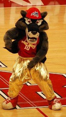 Stony Brook Mascot Wolfie