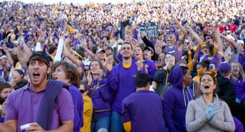 LSU Tigers College Football Fans